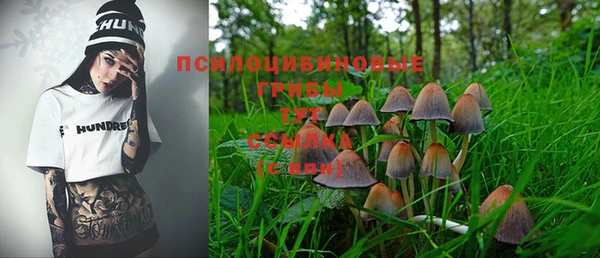МДПВ Навашино