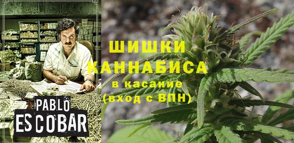 МДПВ Навашино