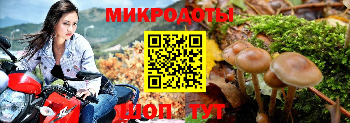 Галлюциногенные грибы Magic Shrooms  закладки  Краснотурьинск  Вход с VPN 